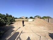 Satılır  torpaq 11 sot, Albalılıq q., photo 1 from 6
