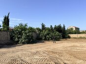 Satılır  torpaq 11 sot, Albalılıq q., photo 4 from 6