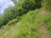 Продаётся  участок 10 сот, photo 3 from 8