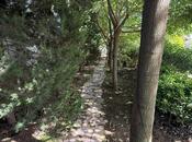 Сдаётся 4-комн. дом/дача 150 м², пос. Мардакан, photo 4 from 8