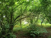 Продаётся  участок 8 сот, Набрань р., photo 7 from 8