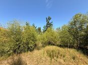 Продаётся  участок 20 сот, пос. Шаган, photo 4 from 6