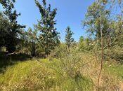 Продаётся  участок 20 сот, пос. Шаган, photo 5 from 6