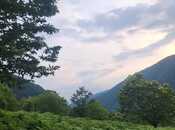 Продаётся  участок 160 сот, photo 7 from 7