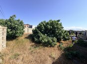 Satılır  torpaq 9.5 sot, Albalılıq q., photo 2 from 2