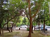 Satılır 1 otaqlı köhnə tikili 38.6 m², Şah İsmayıl Xətai m., photo 6 from 6