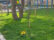 Satılır 2 otaqlı köhnə tikili 45 m², Memar Əcəmi m., photo 4 from 8