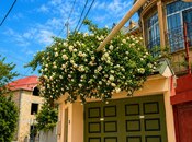 İcarəyə verilir 5 otaqlı həyət evi/bağ evi 250 m², Nəsimi m., photo 2 from 8