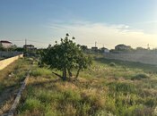Satılır  torpaq 10 sot, Nardaran q., photo 3 from 4