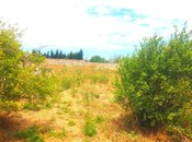 Satılır  torpaq 10 sot, Bilgəh q., photo 1 from 2