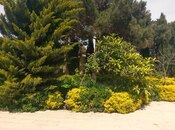 İcarəyə verilir 4 otaqlı həyət evi/bağ evi 350 m², Mərdəkan q., photo 7 from 8