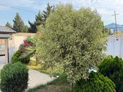 Satılır 4 otaqlı həyət evi/bağ evi 170 m², Mərdəkan q., photo 4 from 8