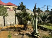 Продаётся 3-комн. дом/дача 100 м², пос. Мардакан, photo 3 from 8