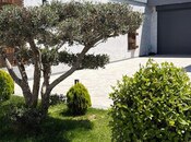 İcarəyə verilir 5 otaqlı həyət evi/bağ evi 450 m², Mərdəkan q., photo 7 from 8