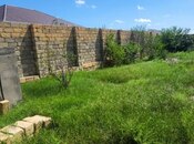 Satılır  torpaq 3 sot, Novxanı q., photo 6 from 8