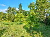Продаётся  участок 10 сот, photo 2 from 6