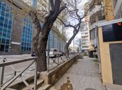 Сдаётся  объект 200 м², м. Низами, photo 7 from 8
