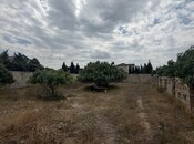 Satılır  torpaq 6 sot, Albalılıq q., photo 1 from 2