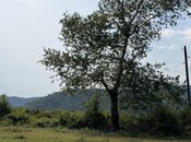Продаётся  участок 70 сот, photo 3 from 8