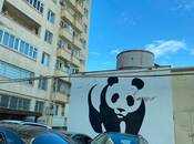İcarəyə verilir 2 otaqlı yeni tikili 70 m², İçəri Şəhər m., photo 8 from 8