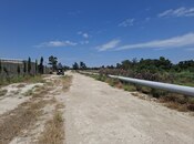 Satılır  torpaq 50 sot, Binə q., photo 3 from 5