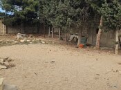 Продаётся  участок 14 сот, пос. Sea Breeze, photo 7 from 8