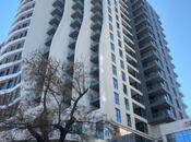 Продаётся 4-комн. новостройка 225 м², м. Шах Исмаил Хатаи, photo 3 from 8