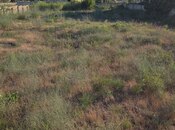 Satılır  torpaq 13 sot, Nardaran q., photo 2 from 4