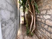 Satılır 3 otaqlı həyət evi/bağ evi 80 m², Zığ q., photo 4 from 8