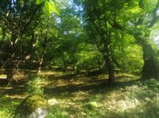 Продаётся  участок 3 сот, photo 5 from 6