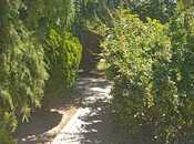 Продаётся  участок 2 сот, пос. Бадамдар, photo 4 from 8