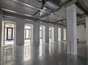 Сдаётся  объект 860 м², м. Сахил, photo 3 from 8