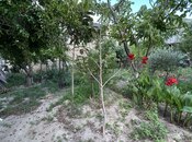 Satılır 7 otaqlı həyət evi/bağ evi 200 m², Novxanı q., photo 6 from 8