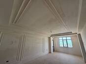 Satılır 4 otaqlı yeni tikili 215 m², Azadlıq Prospekti m., photo 3 from 8
