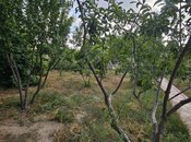 Продаётся 4-комн. дом/дача 200 м², пос. Мардакан, photo 6 from 8