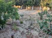 Satılır 3 otaqlı həyət evi/bağ evi 82 m², Albalılıq q., photo 2 from 8