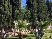İcarəyə verilir 7 otaqlı həyət evi/bağ evi 500 m², Mərdəkan q., photo 6 from 8