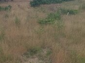 Продаётся  участок 3 сот, пос. Бильгях, photo 2 from 2