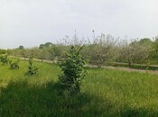 Продаётся  участок 26 сот, Низаминский  р., photo 1 from 2