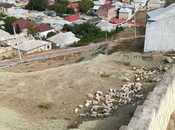 Satılır  torpaq 7 sot, Hökməli q., photo 7 from 7