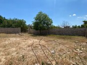 Satılır  torpaq 4 sot, Albalılıq q., photo 5 from 8