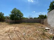 Satılır  torpaq 4 sot, Albalılıq q., photo 3 from 8