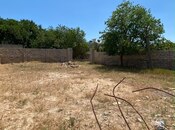 Satılır  torpaq 4 sot, Albalılıq q., photo 4 from 8