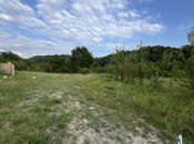 Satılır  torpaq 5 sot, photo 1 from 8