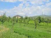 Продаётся  участок 40 сот, Кедабек р., photo 2 from 8