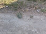 Продаётся  участок 22 сот, Абшеронcкий  р., photo 7 from 8