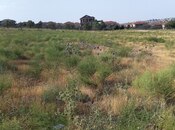 Продаётся  участок 22 сот, Абшеронcкий  р., photo 1 from 8