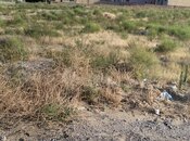 Продаётся  участок 22 сот, Абшеронcкий  р., photo 5 from 8