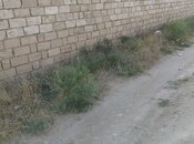 Продаётся  участок 22 сот, Абшеронcкий  р., photo 3 from 8