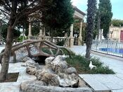 İcarəyə verilir 12 otaqlı həyət evi/bağ evi 800 m², Nardaran q., photo 5 from 8